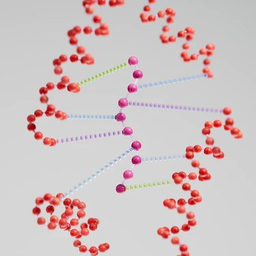 K18Peptide