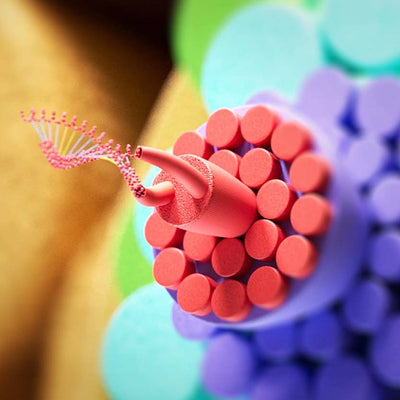 K18Peptide™